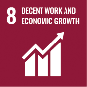 SDG 8