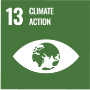 SDG 13